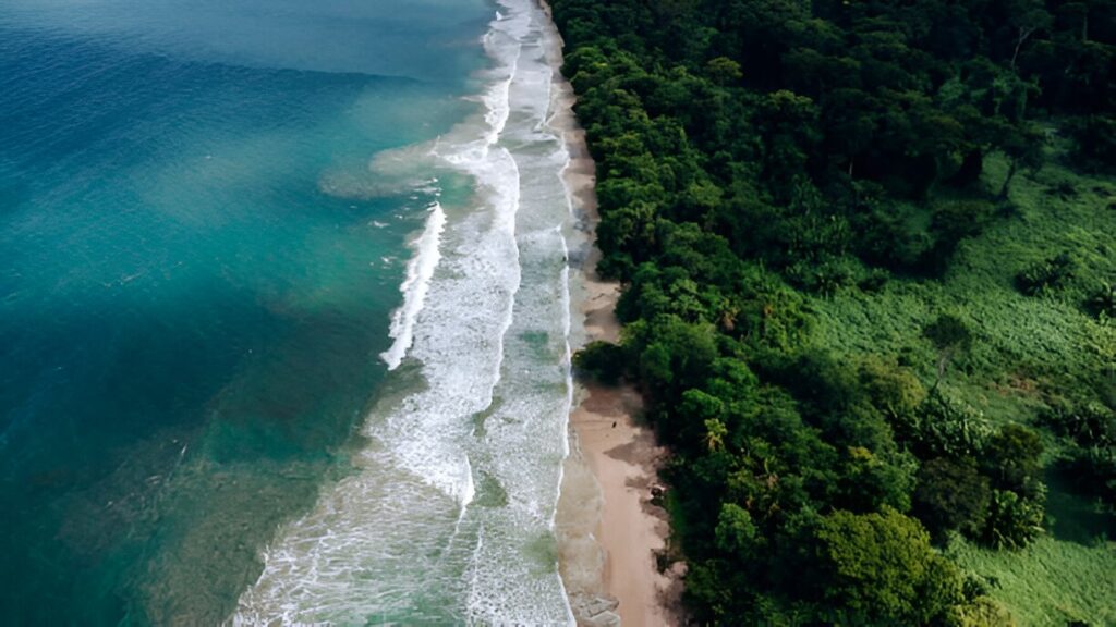 Puerto Viejo : Ambiance reggae et plages Caraïbes