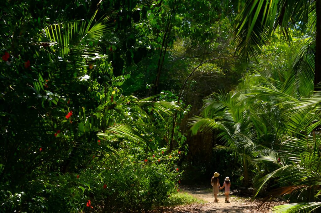 Corcovado : La dernière frontière sauvage