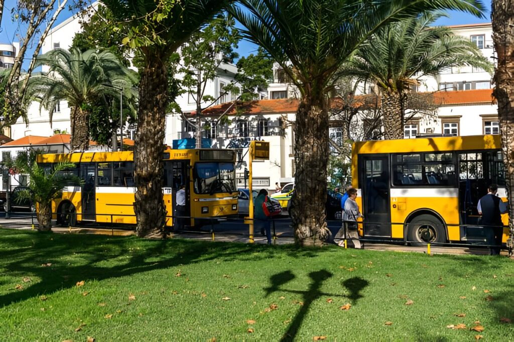 Madère : transport commun 
Madère : transport public  
