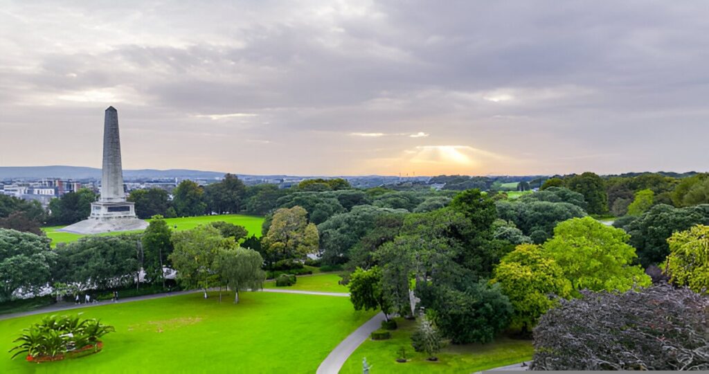 Phoenix parc dublin