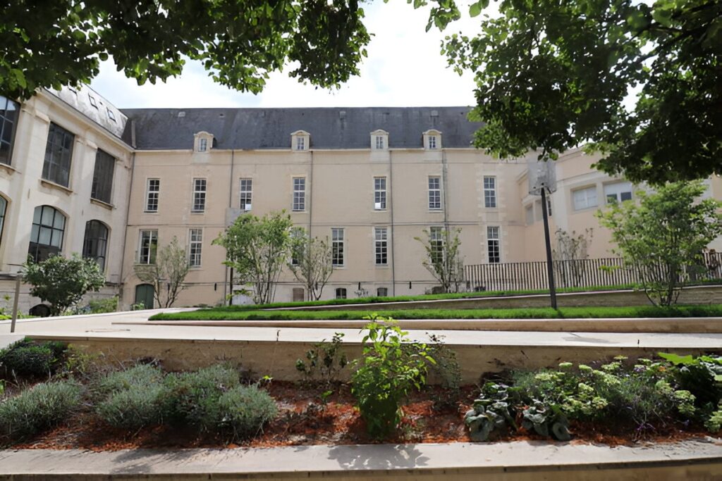 Visiter Poitiers : 10 étapes pour profiter de la ville