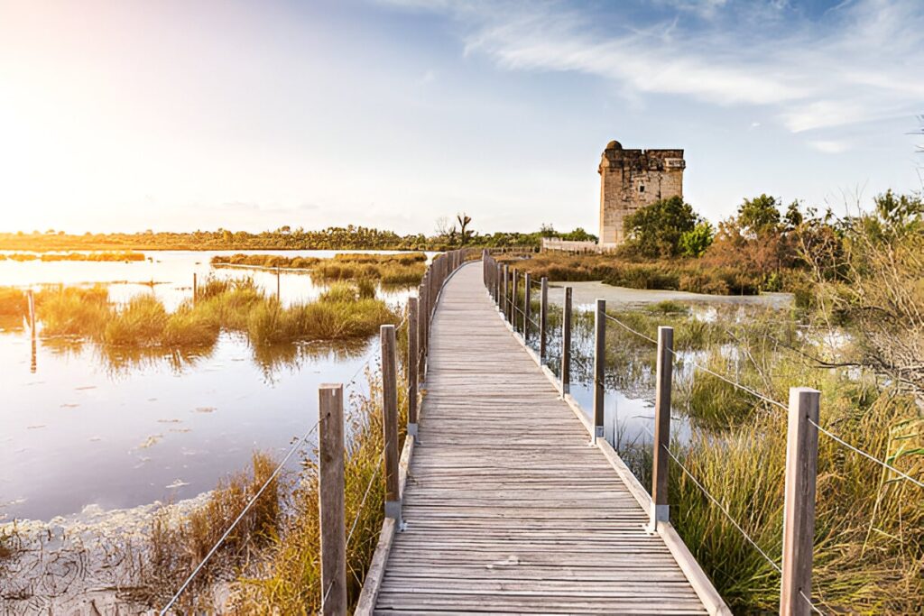 Camargue gardoise : le Gard