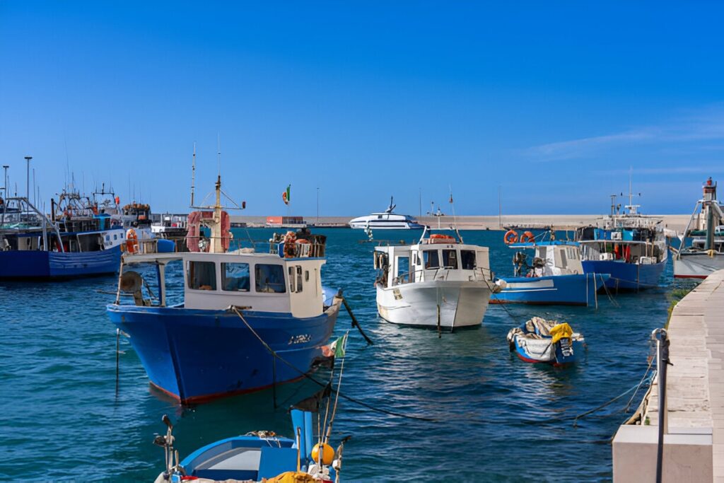 MONOPOLI