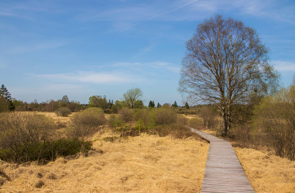 Voyage en Wallonie
