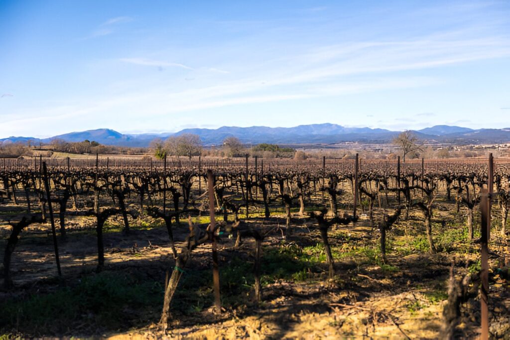 Ferme cévenole : le Gard