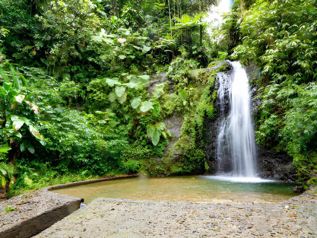 La cascade du Saut du Gendarme se situe sur la commune de Fonds-Saint-Denis, au cœur de la forêt tropicale du nord de la Martinique