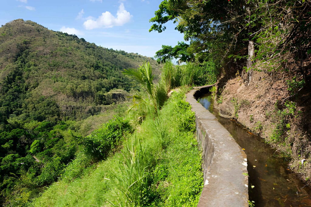 Le canal de Beauregard rabdonnee Martinique