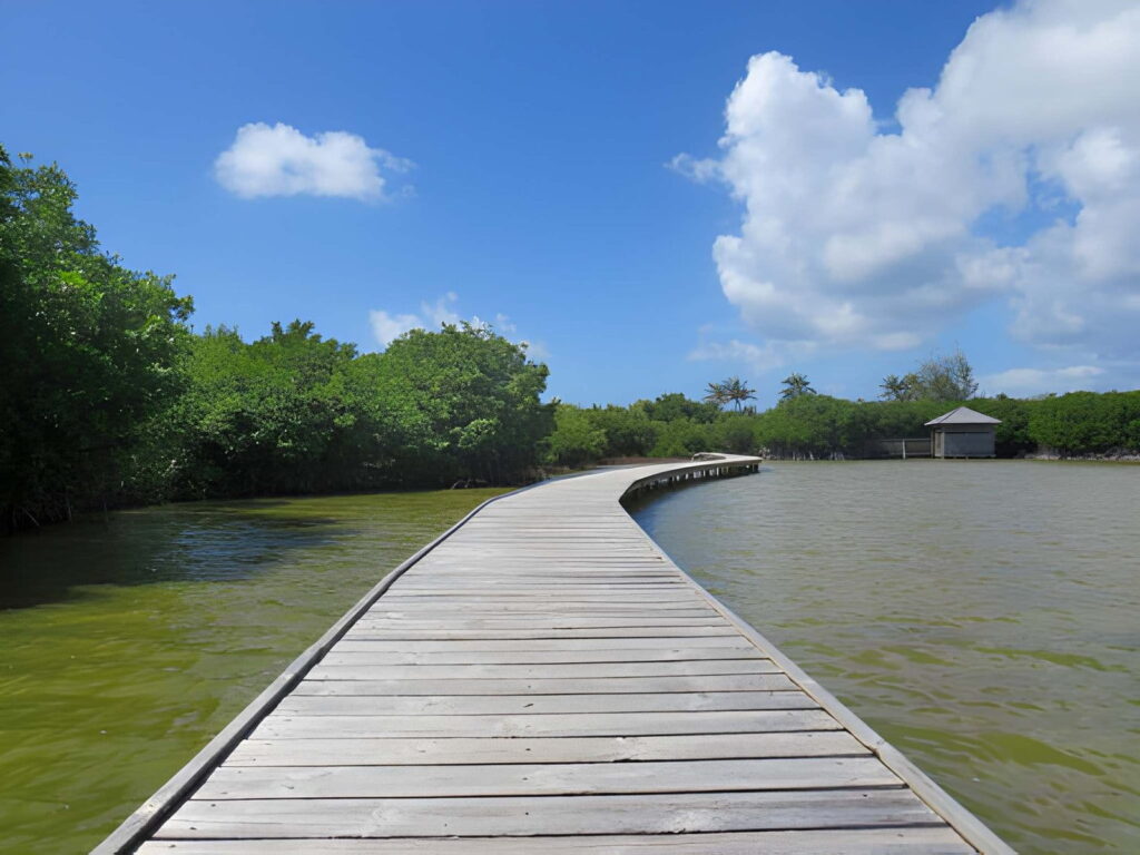 Passerelles Martinique Randonnées