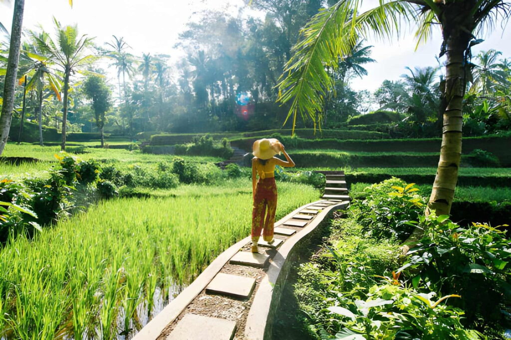 Une femme sur terrasse de Riz de Tegalalang à Bali